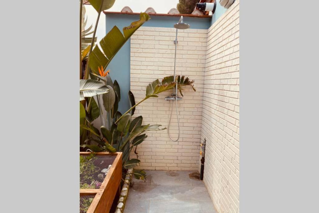 Viareggina Con Giardino Apartment Marina Di Pisa Exterior photo